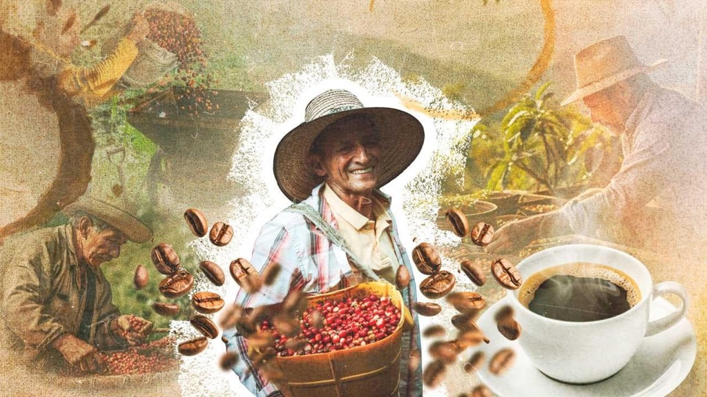Aumentan Exportaciones de Café en Colombia