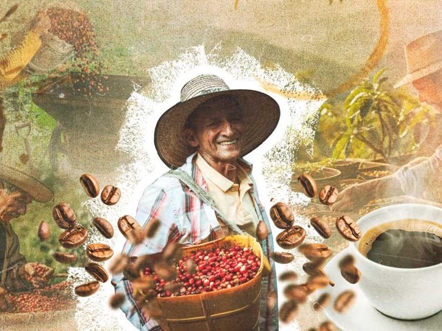 Aumentan Exportaciones de Café en Colombia