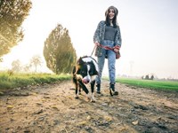 Como conseguir un paseo efectivo con tu perro