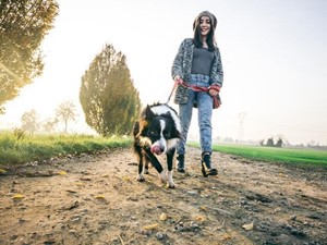 Como conseguir un paseo efectivo con tu perro