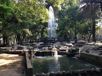 Nuevo Parque Solar Abre en el Norte de México